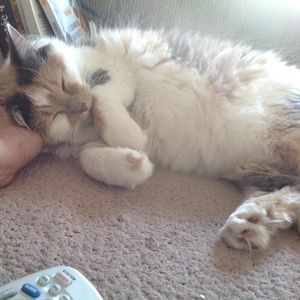 Meet your Posher, Marianne